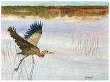 by STAN SWENSON