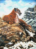 by Ruth Kauffman