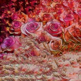 by Meg Murray