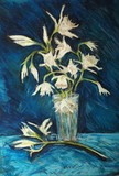 by Maria Luisa Bonfigli