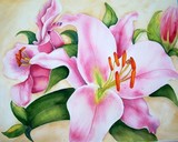 by Rebecca Langlois