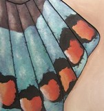 by Cathy Savels