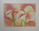 by Lori Azzolino