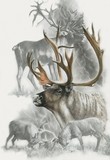 by Barbara Keith
