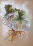 by Barbara Keith