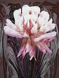 by Kathy Beekman