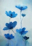 by Angel Estevez