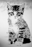 by bobby kro