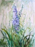 by Pauline Ender
