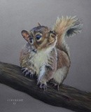 by Sue Johnson