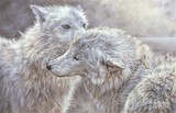 by Judy Cooper