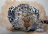 by Michele Turney