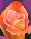 by Carolyn Rayburn