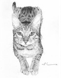 by mike theuer