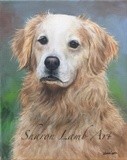 by Sharon Lamb