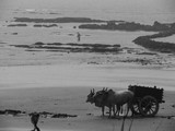 by Abhilash Vinayak