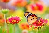 by Wayne Combridge 