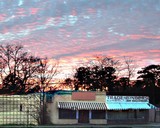 by Abstract Alexandra