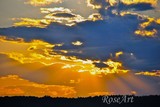 by rosemarie giordano