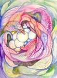by Jane  Priser