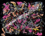 by Wayne Salvatore