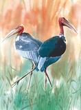 by Suresh Kumar Achari