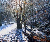 by Stephen Warnes