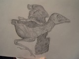 by Brandy Gentile