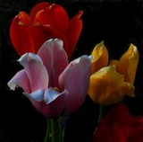 by Deborah Ormsby