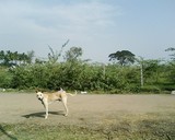 by vijay kumar