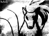 by Amaroq Darkpaw