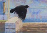 by Carol Thompson