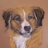 by Gerry Nijhuis
