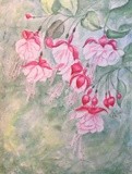 by Patricia Elgee