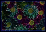 by Jill Davis