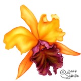 by Sybille Sterk
