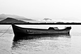by Edmundo nascimento Pires