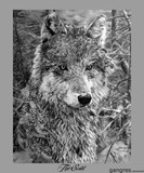 by Allen Hollingshead