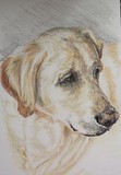by Teddie Dumas Forbes