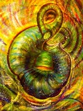 by Snook Berry