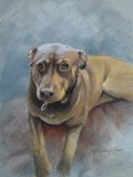 by Delores Herringshaw
