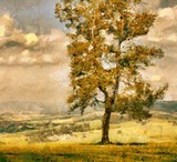 by Pavel Potocek