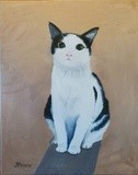 by Judy Petett