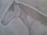 by Caitlin Hoyt
