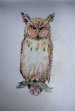 by Rutuja Padwal