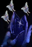 by Denise Catino
