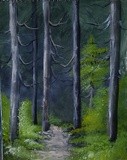 by Videh Agnihotri 