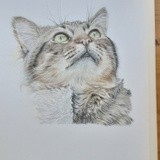 by Michael  Williams 