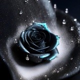 by Mihaela B