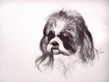 by Joelle Asmondy